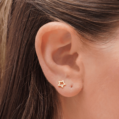 Starlit Dream Earrings - EVRYJEWELS