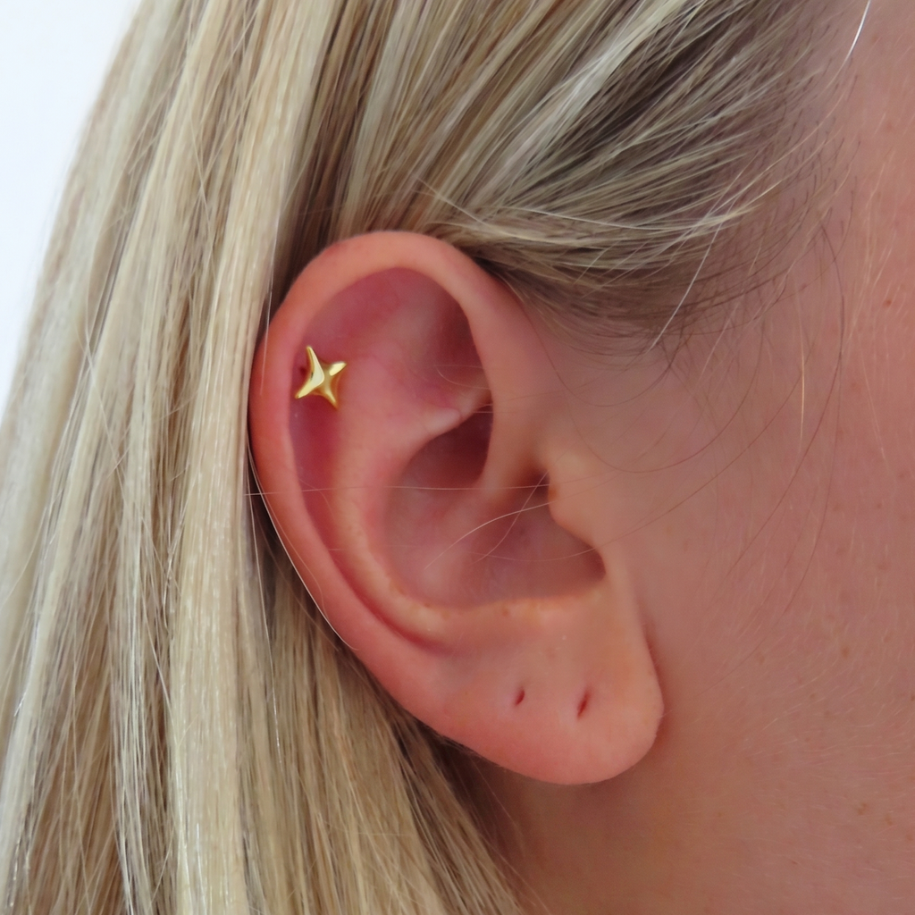 Celeste Earrings - EVRYJEWELS
