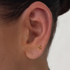 Reach for the Stars Earrings - EVRYJEWELS