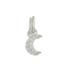 Moonlight Charm - EVRYJEWELS