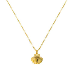 Seashell Necklace - EVRYJEWELS