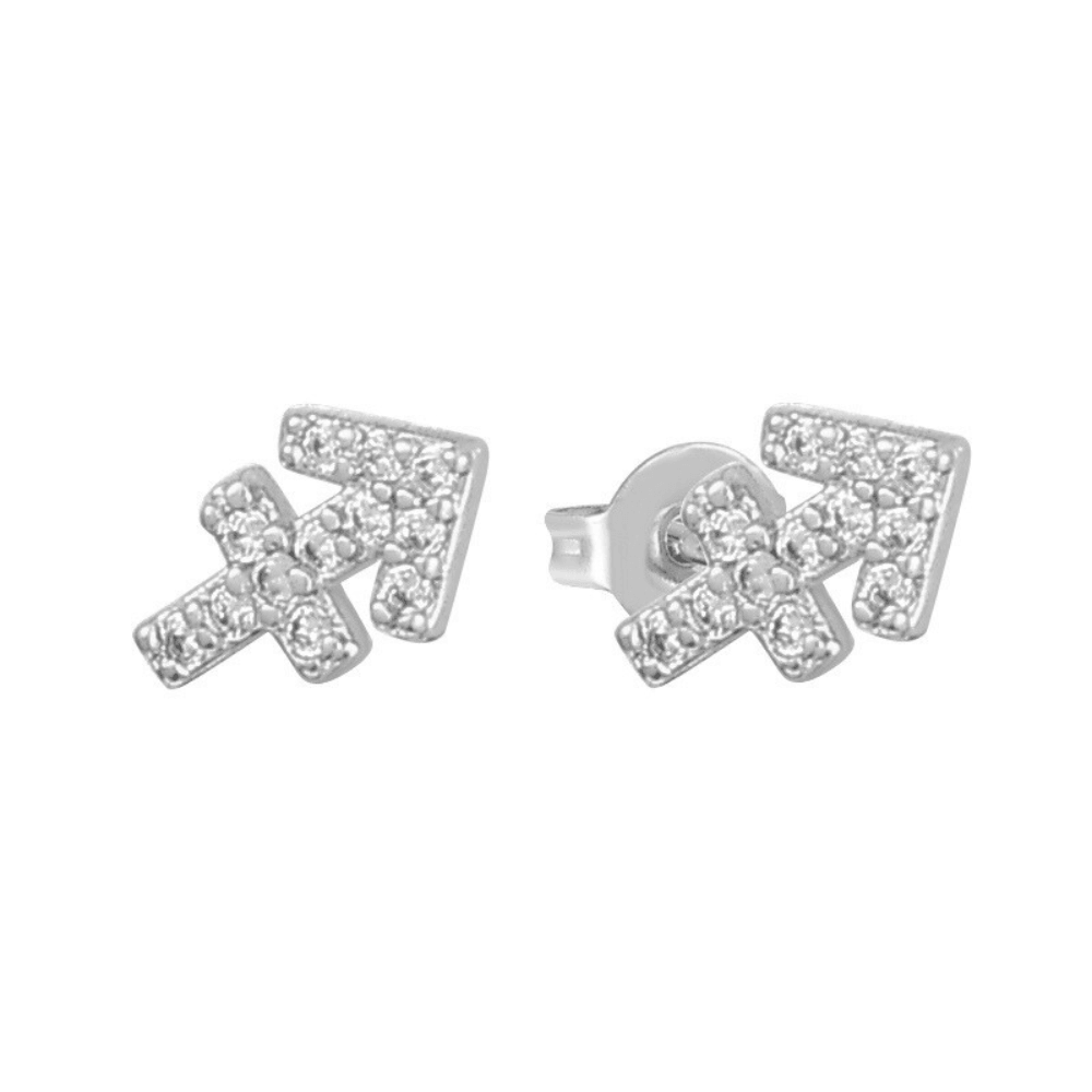 Stargazing Earrings - EVRYJEWELS