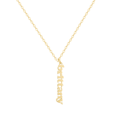 Custom/Personalized Mini Vertical Charm Nameplate Necklace - EVRYJEWELS
